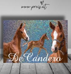 individuelle Schilder mit Fotos 