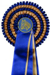 5-REIHIGE Schleife Elisa 