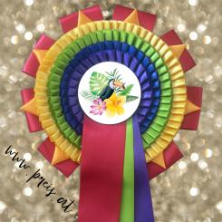 Individuelle Preisschleifen 