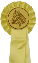 1-REIHIGE Schleife Elisa Gelb | mit Bandbeschriftung