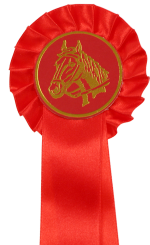 1-REIHIGE Schleife Elisa Rot | mit Bandbeschriftung