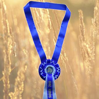Championrosette 